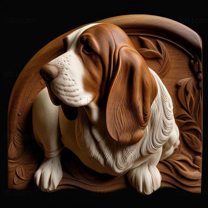 Animals Basset Hound dog